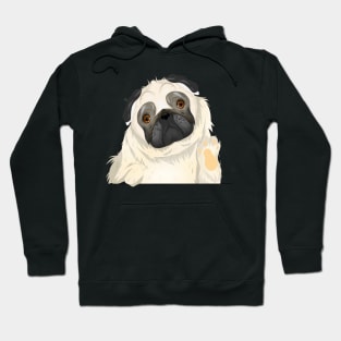 Cute Pug Dog Waving Hand Hoodie